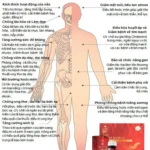 Tác Dụng Của Hồng Sâm Theo Nghiên Cứu Của Y Học