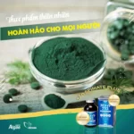 Tảo Spirulina Spimate Plus - Thực Phẩm Thiên Nhiên Hoàn Hảo Cho Mọi Người - 1Store.vn