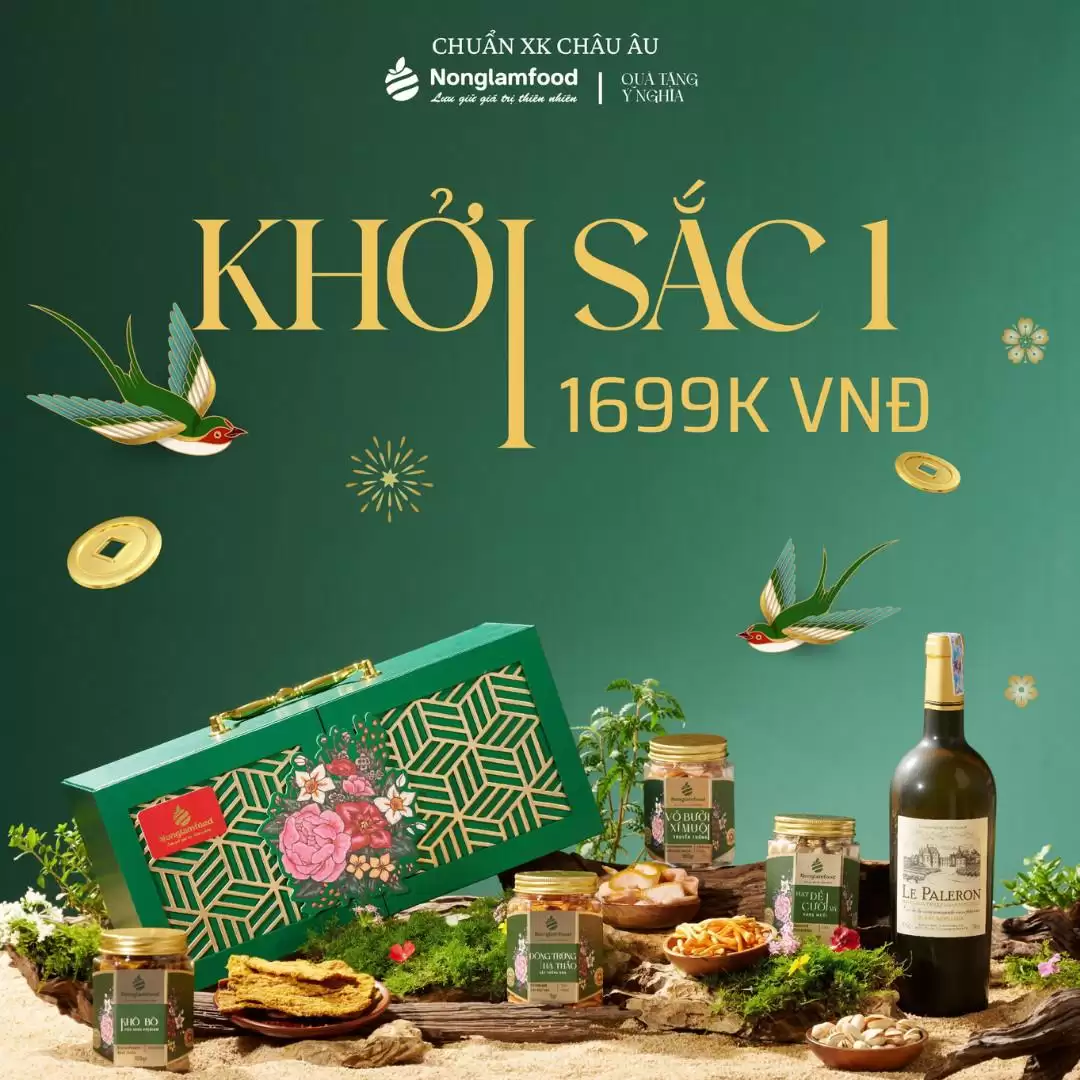 Hộp Quà Tết 2024 - Xuân Khởi Sắc 01 (kèm Túi) - Droppii Mall