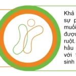 Men Vi Sinh Công Nghệ Bao Kép Thế Hệ Thứ 4 - 1Store.vn