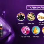 Thành Phần Viên Uống Nội Tiết Ostara Spring - Droppii Mall