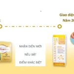 Bao Bị Mẫu Mã Mới Của Lacclean Gold Lab 2024 - 1Store.vn