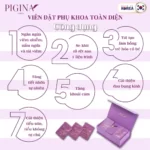 Công dụng Viên đặt phụ khoa Pigina (Set tối ưu 18 viên) chính hãng giá tốt - 1Store.vn