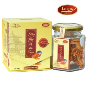 Đông trùng hạ thảo Sapa khô Elipha 10g chính hãng giá tốt - 1Store.vn