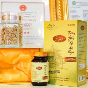 Viên Nang Đông Trùng Hạ Thảo Sapa 28 viên chính hãng giá tốt - Traphaco Sapa - 1Store.vn