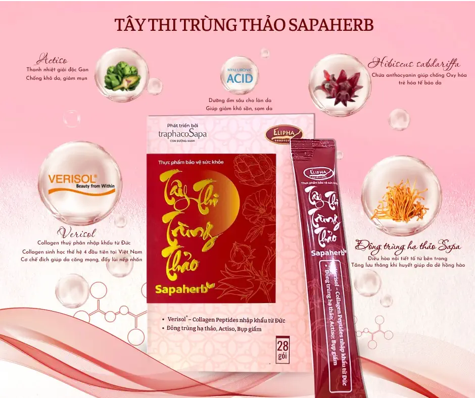 Tây Thi Trùng Thảo kết hợp Collagen sinh học thế hệ mới nhất với chiết xuất các loại thảo dược quý như Đông trùng hạ thảo, Actiso và Bụp giấm theo tỉ lệ vàng - 1store.vn