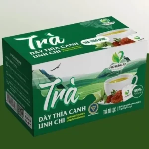 Trà Dây Thìa Canh Linh Chi AP Phú Hưng chính hãng giá tốt - 1Store.vn