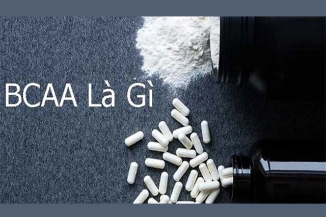 Tìm hiểu về BCAAs là gì và cách chúng hỗ trợ sức khỏe về thể chất và tinh thần. Tác dụng của BCAA đối với cơ bắp - 1Store.vn