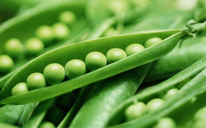 20200528_043319_947793_hat-dau-trang-co-to-max-1800x1800-1-1 Đậu Hà Lan cũng là một loại đậu trắng