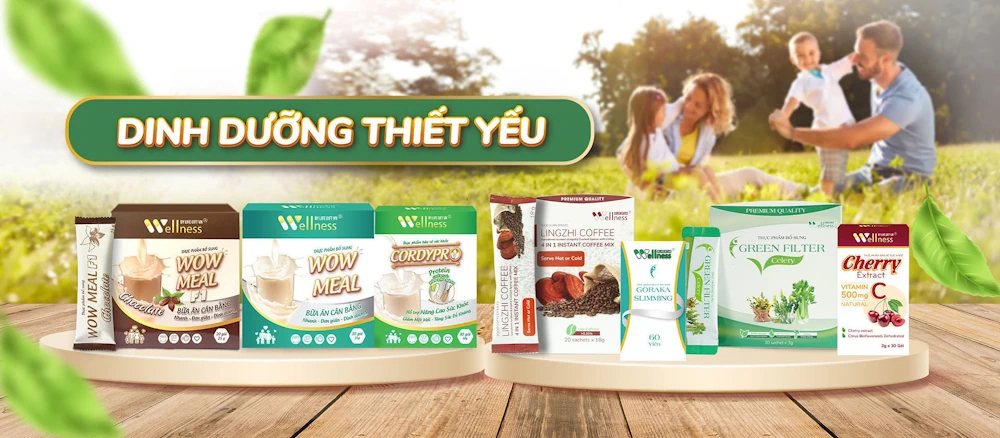 Khuyến Mãi Life Gift Vn - Wellness By Life Gift Việt Nam - 1Store.vn