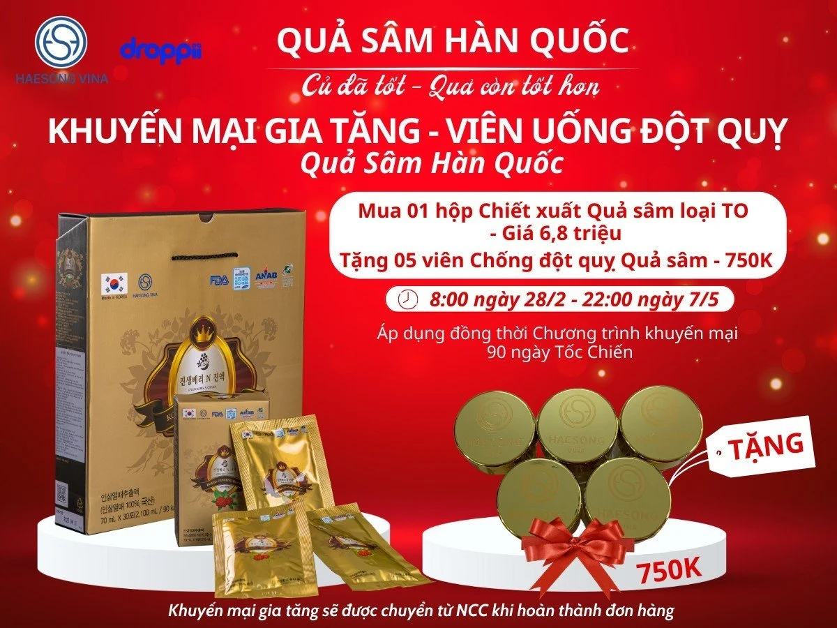 Khuyến mãi gia tăng mua Chiết xuất Quả nhân sâm Hàn Quốc tặng viên uống đột quỵ quả sâm Hàn Quốc Haesong Vina chính hãng giá tốt - 1Store.vn