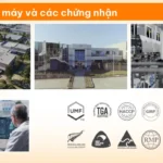 Nhà Máy Và Các Chứng Nhận - 1Store.vn