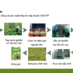 Quy Trình Sản Xuất Của Anpaso