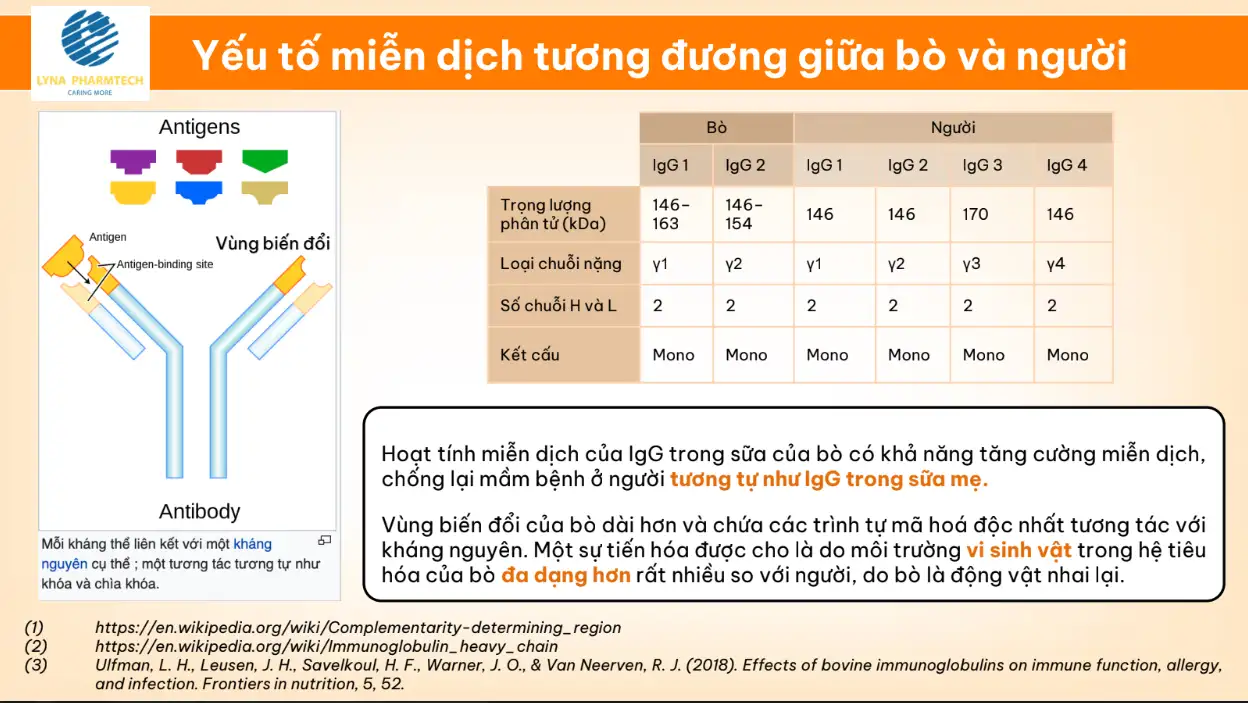 Yếu Tố Miễn Dịch Tương đương Giữa Bò Và Người- 1store.vn
