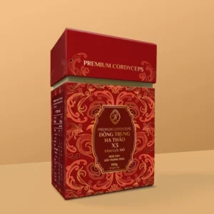 Đông Trùng Hạ Thảo X3 Sâm Lựu Đỏ + Túi giấy 20 gói x 5g chính hãng giá tốt - 1Store.vn