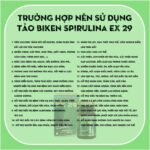 Cách Dùng Biken Spirulina Ex 29