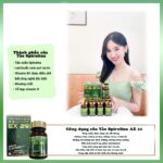 Thành Phần Biken Spirulina Ex 29