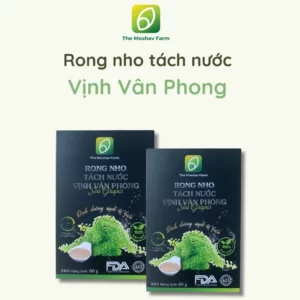 Rong Nho Tách Nước Vịnh Vân Phong - The Moshav Farm - 1Store.vn