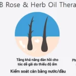 Liệu Pháp Tinh Dầu Hoa Hồng Và Thảo Mộc Trong Xịt Dưỡng Tóc Luub Q10 - 1Store.vn