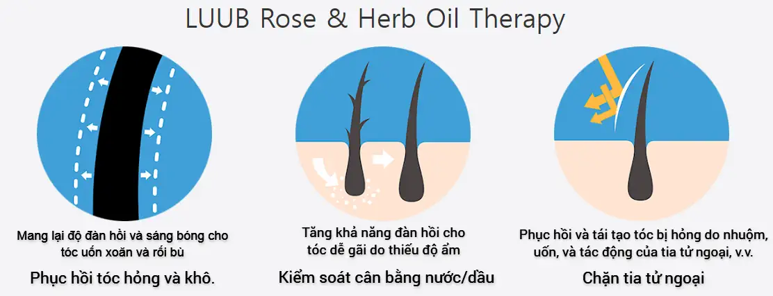 Liệu Pháp Tinh Dầu Hoa Hồng Và Thảo Mộc Trong Xịt Dưỡng Tóc Luub Q10 - 1store.vn