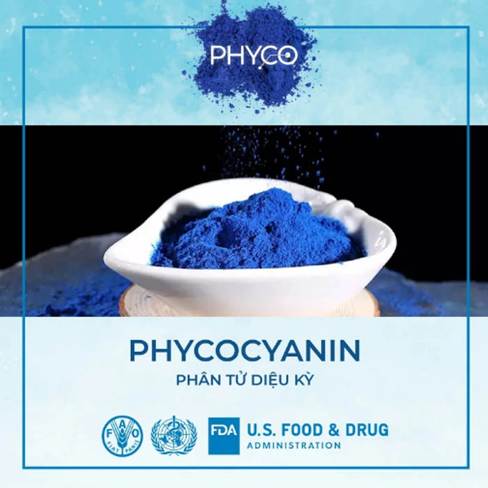 Phân Tử Diệu Kỳ Phycocyanin - Phycocyanin Spirulysat Cuivre - 1store.vn