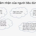 Cảm Nhận Của Khách Hàng Khi Dùng Smoothie Bonne - Sinh Tố Dinh Dưỡng Chuối Xoài Cam - 1Store.vn