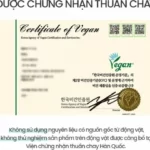 Chứng Nhận Thuần Chay Của Kem Dưỡng Phục Hồi Da Beyond Angel Aqua Cica Cream Vegan Formula - 1Store.vn