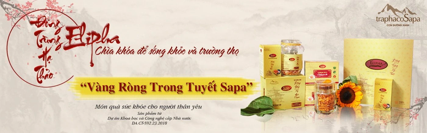 Đông Trùng Hạ Thảo Elipha - Traphaco Sapa - Vàng Ròng Trong Tuyết Sapa - 1Store.vn