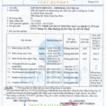 Phiếu Kết Quả Thử Nghiệm Sản Phẩm Son Kem Khoáng C’choi - Mineral Lip Cream - Punar - 1Store.vn