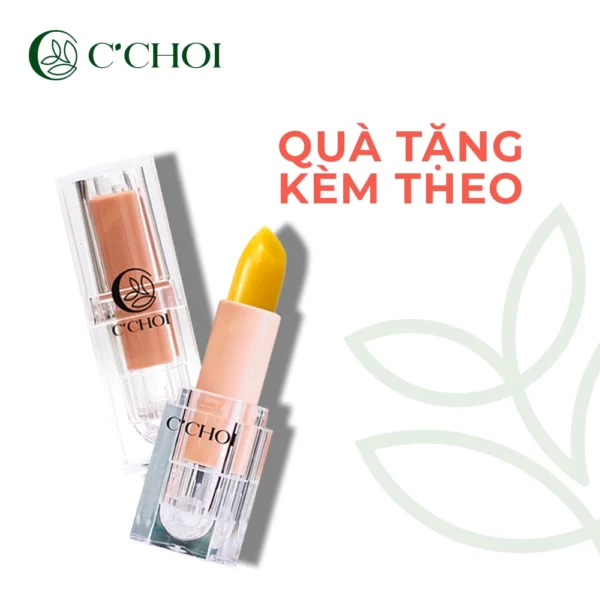 Quà Tặng Kèm Khi Mua Combo Trang điểm Cơ Bản 1 - C'choi - Punar - 1Store.vn