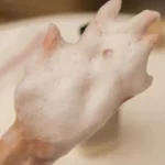 Tạo Bọt Sữa Tắm Dưỡng ẩm Beyond Deep Moisture Creamy Body Wash - Lg Vina - 1Store.vn