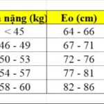 Bảng Thông Số Quần Jeans Nữ Shorts Auben