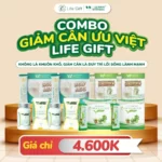 Combo Giảm Cân ưu Việt Life Gift - 1Store.vn