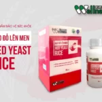 Gạo đỏ Lên Men Red Yeast Rice - 1Store.vn