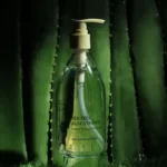 Shirley Curly Tea Tree Aloe Vera Gel 300ml - Trà Xanh Tràm Trà - 1Store.vn