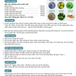 Thông Tin Thực Phẩm Hỗ Trợ Gout Urica Ligi - 1Store.vn