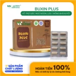 Thực Phẩm Bổ Khí Huyết Buxin Plus - 1Store.vn