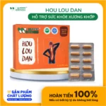 Thực Phẩm Giảm đau Xương Khớp Hou Lou Dan - 1Store.vn