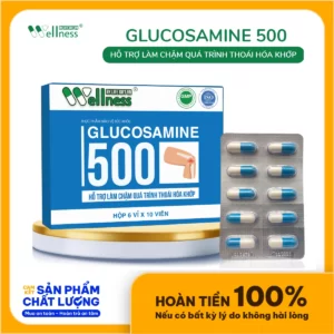 Thực Phẩm Làm Chậm Thoái Hóa Khớp Glucosamine 500 Life Gift - 1Store.vn