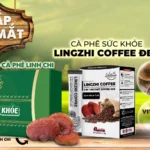 Hộp Quà Tặng Cà Phê Sức Khỏe Lingzhi Coffee - Life Gift Vn - 1Store.vn