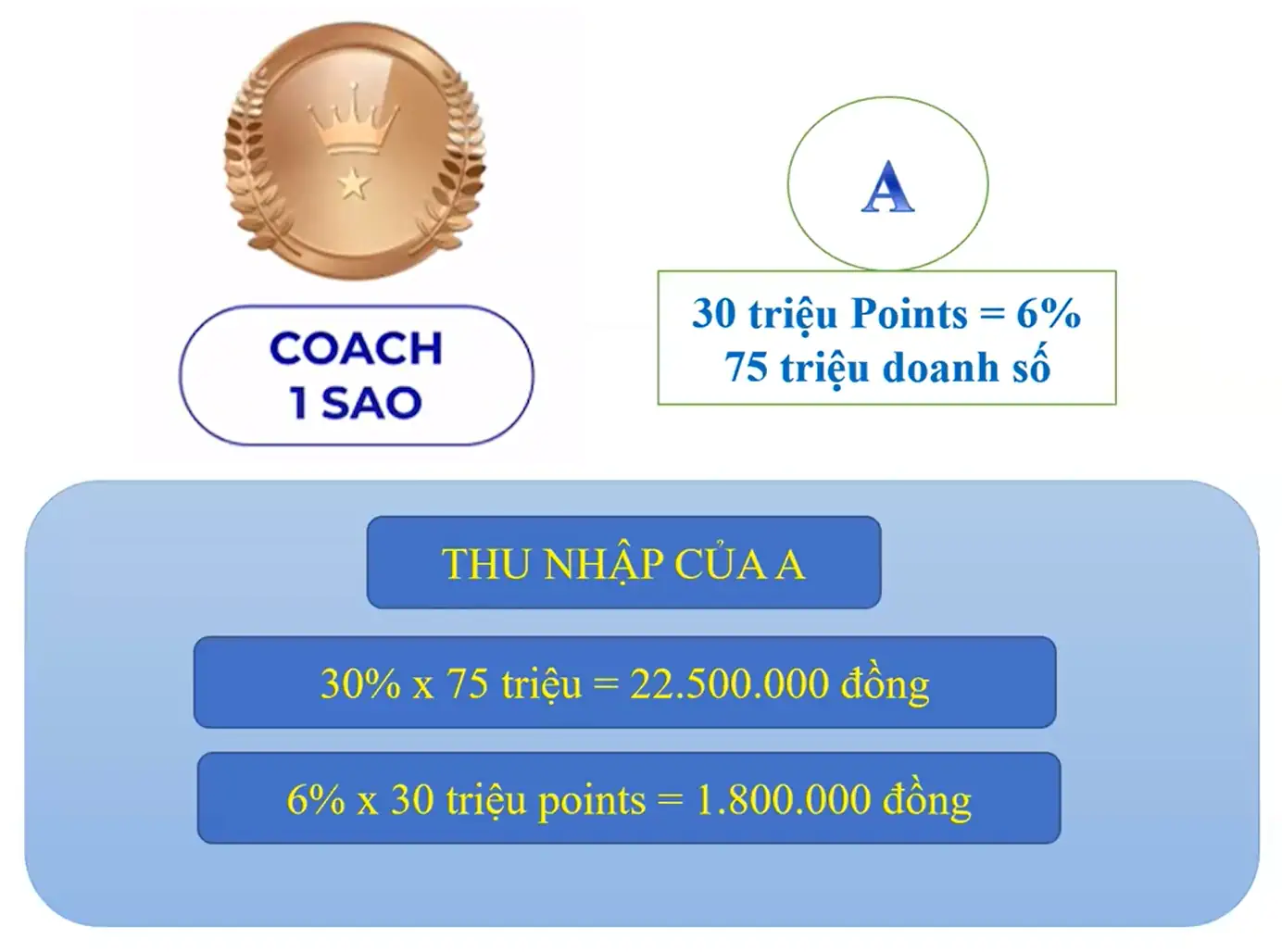 Thu Nhập Coach 1 Sao - 1store.vn