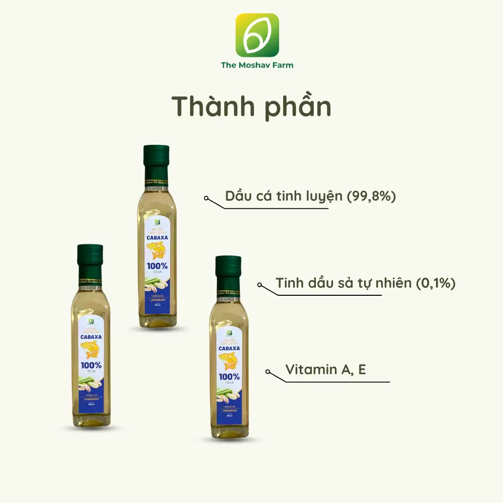 Dau-ca-1-1 Dau-ca-1-1