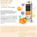 Nước ép Cam Cao Cấp Có Thịt Quả Cam Bonne 1 Lít - 1Store.vn