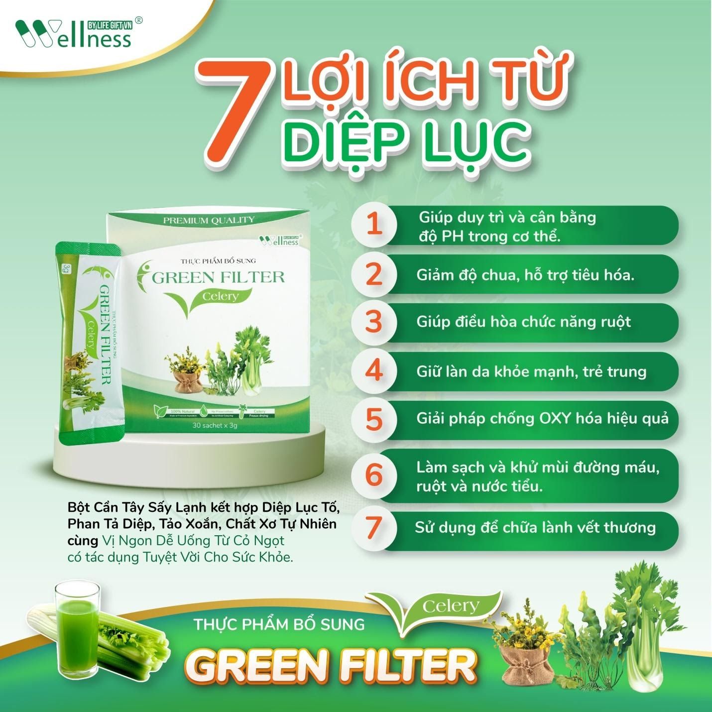 7 lợi ích từ Diệp lục - Thực phẩm bổ sung bột Cần tây – diệp lục Green Filter Celery – 1store.vn