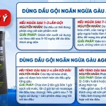 Dầu gội đầu ngăn ngừa gàu Agrado Professional Shampoo Anti-Dandruff 400ml